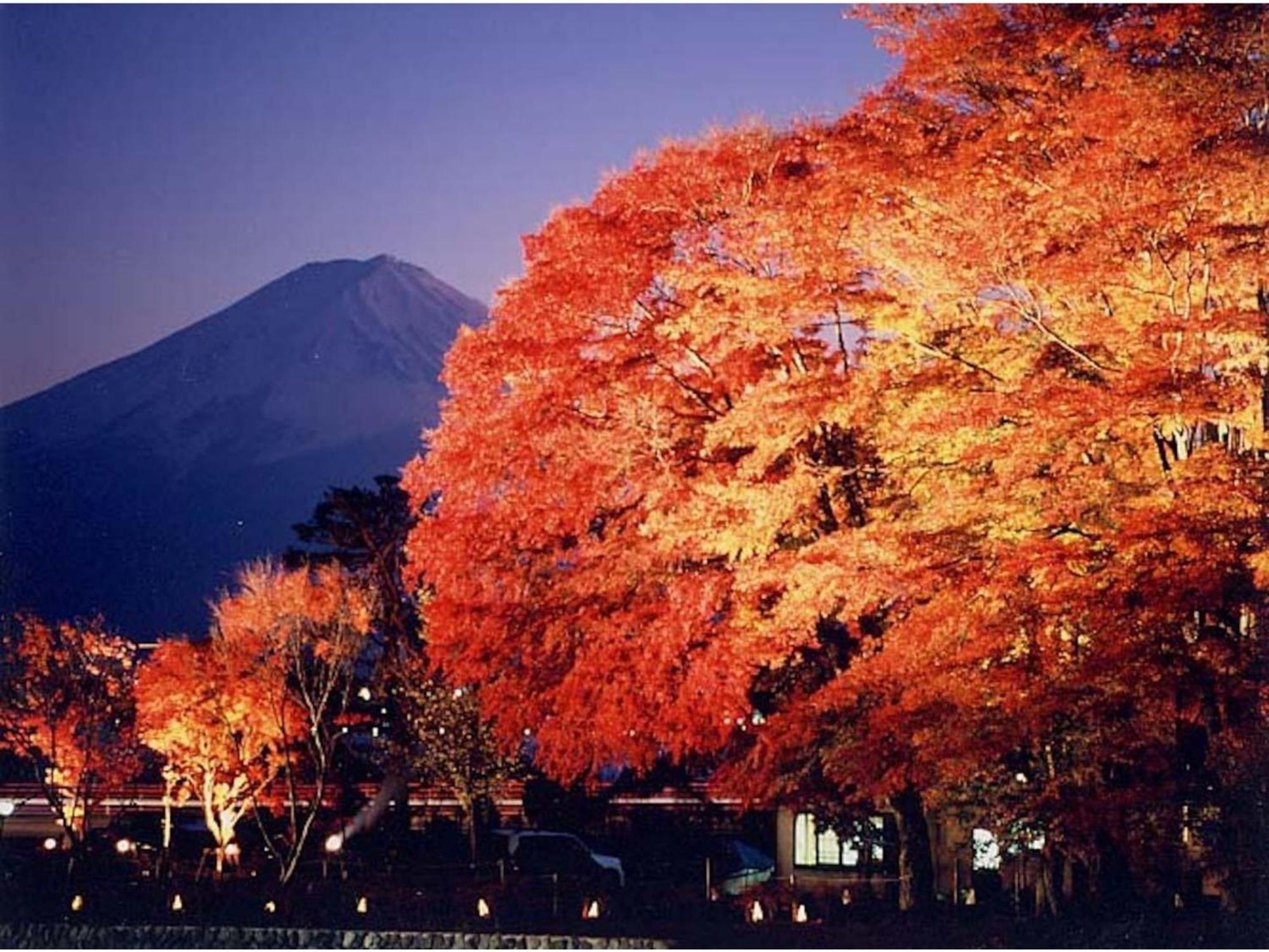 Fujisan Resort Hotel - Vacation Stay 57971V Fujikawaguchiko Exterior photo